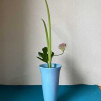 生け花,池坊,生花(しょうか),梅雨入り前の画像
