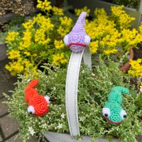 多肉植物,サボテン科,カクタス広瀬,ありがとう♡,多肉女子の画像