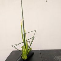 いけばな,花のある暮らし,受付の花,花器活け,玄関エントランスの画像