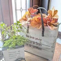 寄せ植え,多肉植物,ドライフラワー,多肉寄せ植え,ガーデニングの画像