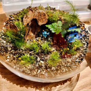 シダと苔のテラリウム,テラリウム,神戸市立森林植物園,苔とシダの画像