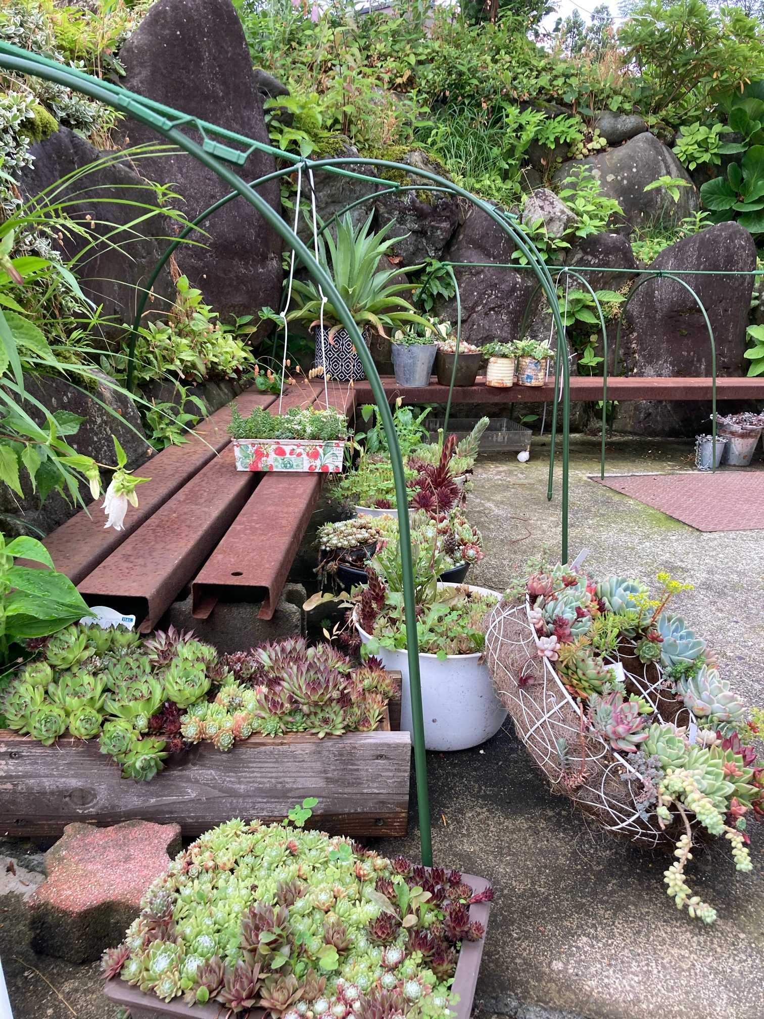 直置き多肉の屋根計画 2️⃣｜🍀GreenSnap（グリーンスナップ）