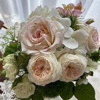 オルラヤ,コレオプシス,コレオプシス,スイートピー,スイートピーの画像