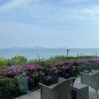 ツツジ,瀬戸内海,赤穂岬の画像