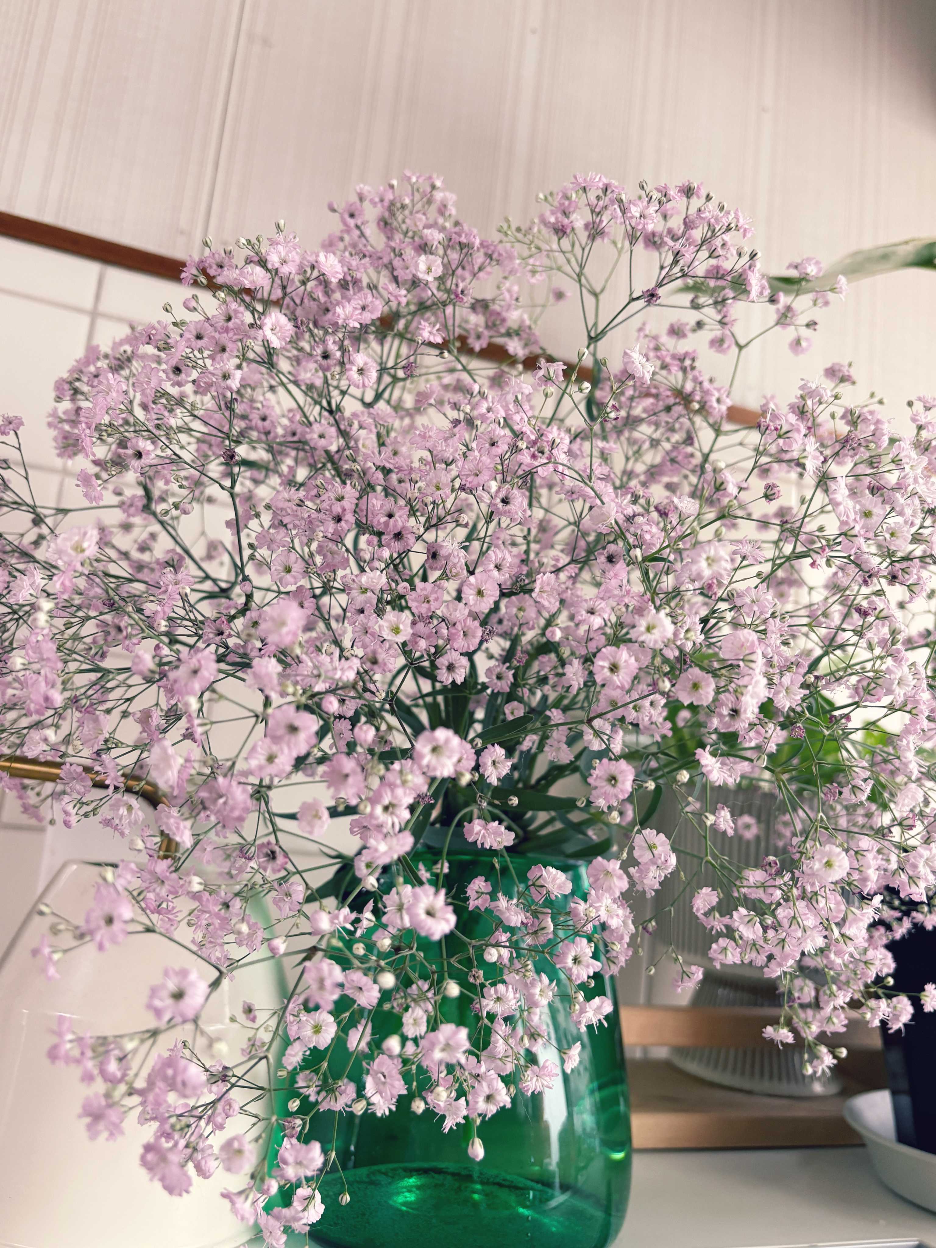 かすみ草ページ２ 739-FKS315.jpg?1