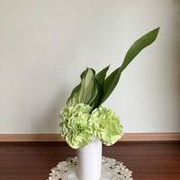 カーネーション,ギボウシ,スカビオサ,ルピナス,ハランの画像