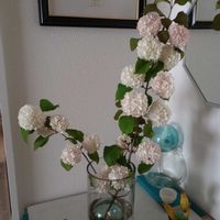 切り花,一輪挿し,花瓶,花束,花のある暮らしの画像