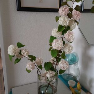 切り花,一輪挿し,花瓶,花束,花のある暮らしの画像