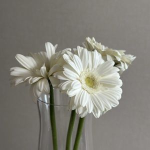 ガーベラ,お花屋さん,花のある暮らし,ガラスの花瓶,町のお花屋さんの画像
