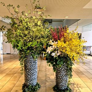 多肉植物,観葉植物,ジャングル,南国植物,観葉植物がスキの画像