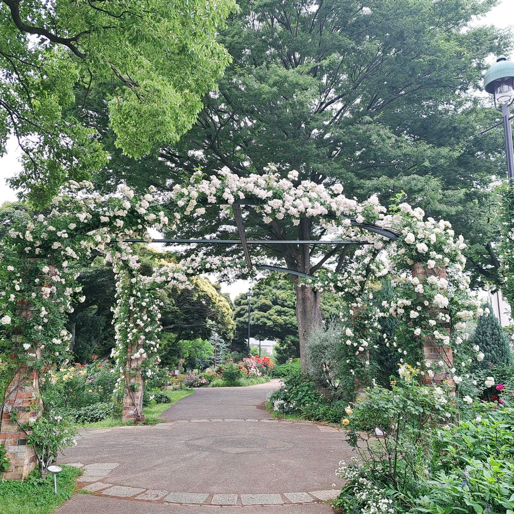 エリィさんの港の見える丘公園への投稿