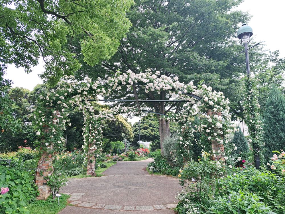 エリィさんの港の見える丘公園への投稿