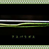 アスパラガス,実りに感謝,SDGsの画像
