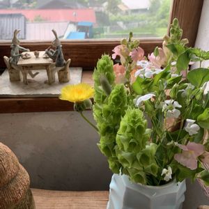 木の実 たくさん,癒し,自然の中で,展示品,作家さんの作品の画像
