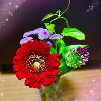 アレンジ,可愛い,花言葉,癒される,花のある暮らしの画像