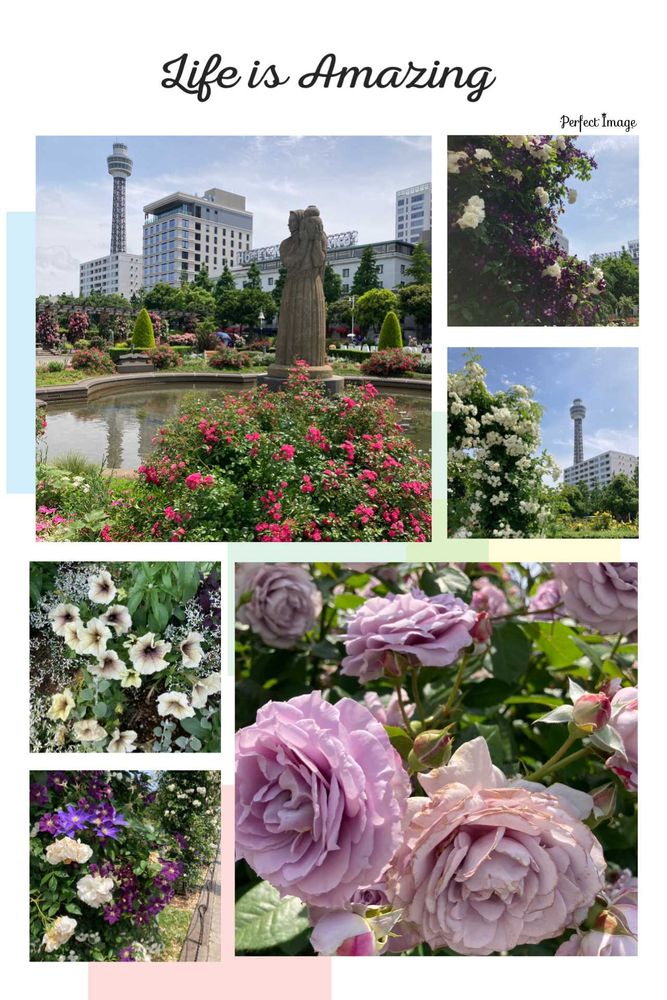 ユダコさんの山下公園への投稿