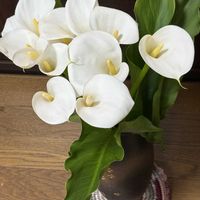 カラー,花瓶,好きな花,手づくり,幸せの白い花の画像