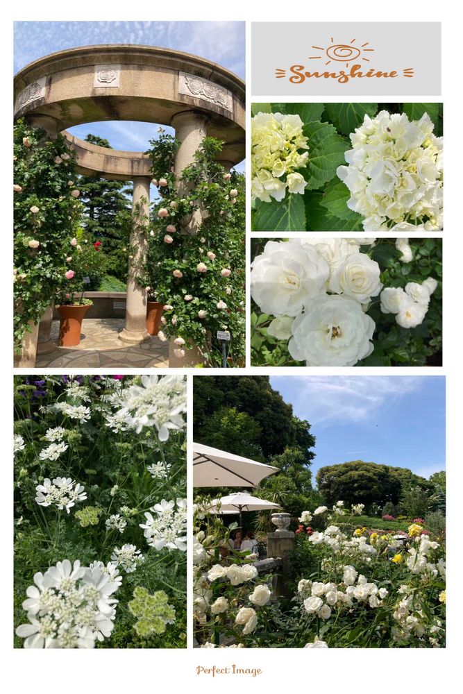 ユダコさんの山下公園への投稿
