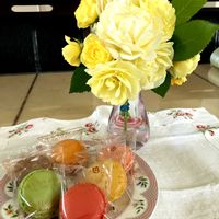 バラ ゴールデンボーダー,花のある暮らし,幸せな時間,お花からパワーチャージ,綺麗な薔薇♡の画像
