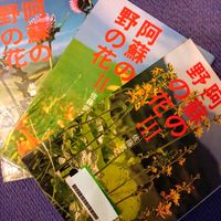 エビネ,ナズナ,ホタルブクロ,カワラナデシコ,阿蘇の野の花の画像