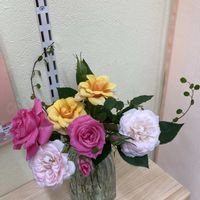うどん粉病,ミニバラ鉢植え,ガラスの花瓶,癒し…♡,ピンクのバラ♡の画像