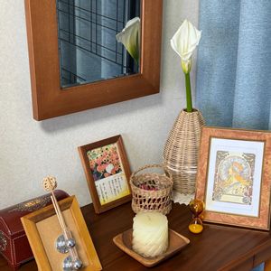 カラー（阿蘭陀海芋）,花言葉,花のある暮らし,誕生花,GS映えの画像