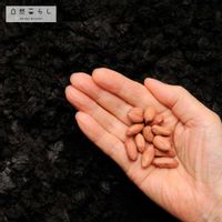 植物のある暮らし,肥料,自然のある暮らし,おうち園芸,おうちde菜園の画像