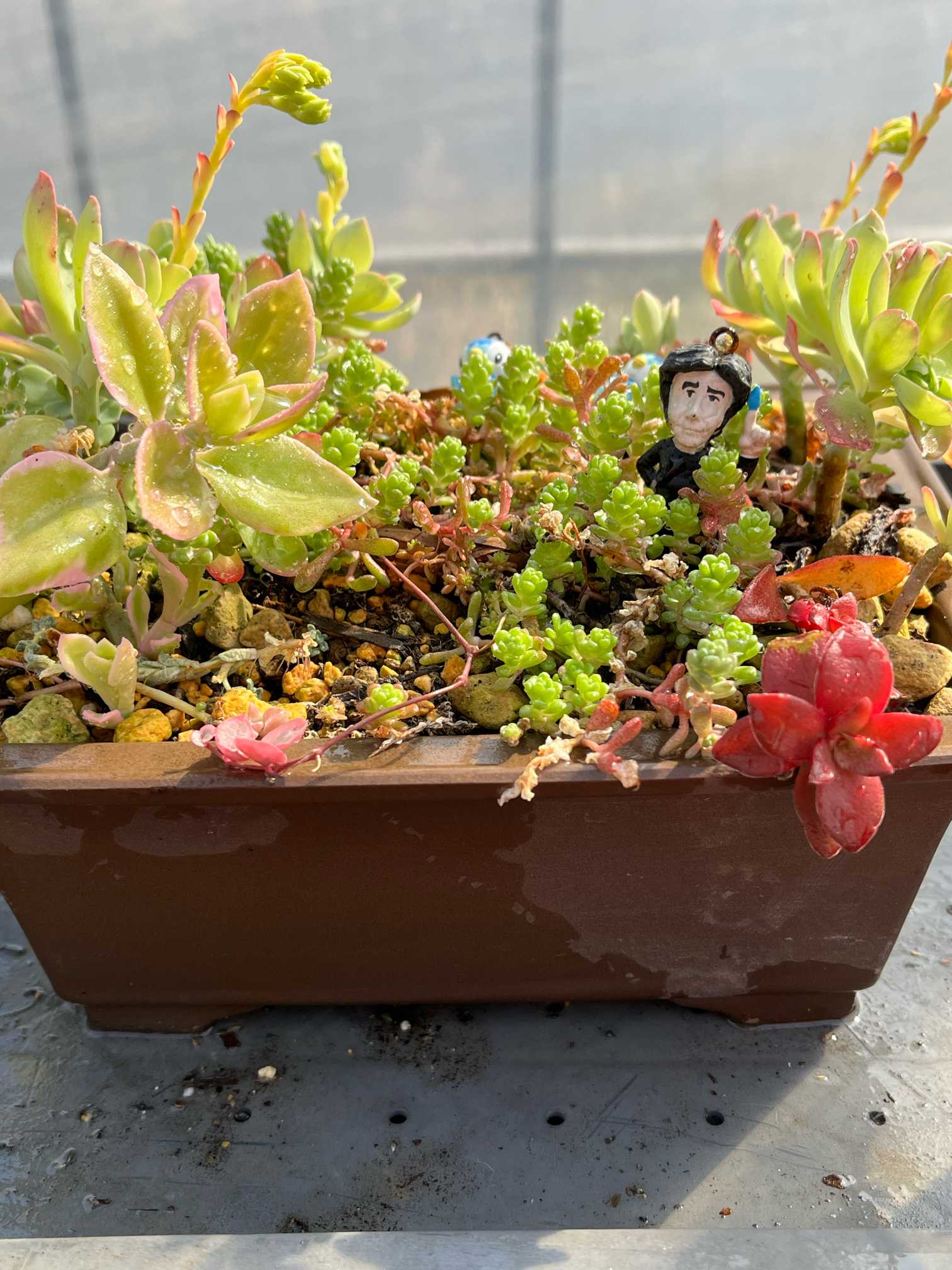 箱庭｜🍀GreenSnap（グリーンスナップ）