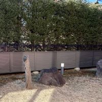 アロニア,モミジ,アナベル,シロバナマンサク,フォサギラ ブルーミストの画像