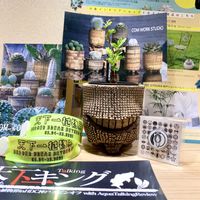 ウツボカズラ,COM WORK STUDIO,コムワークスタジオ,天下一植物界の画像