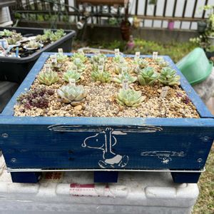 ハンドメイド木箱,carino creare（カリーノクリアーレの画像