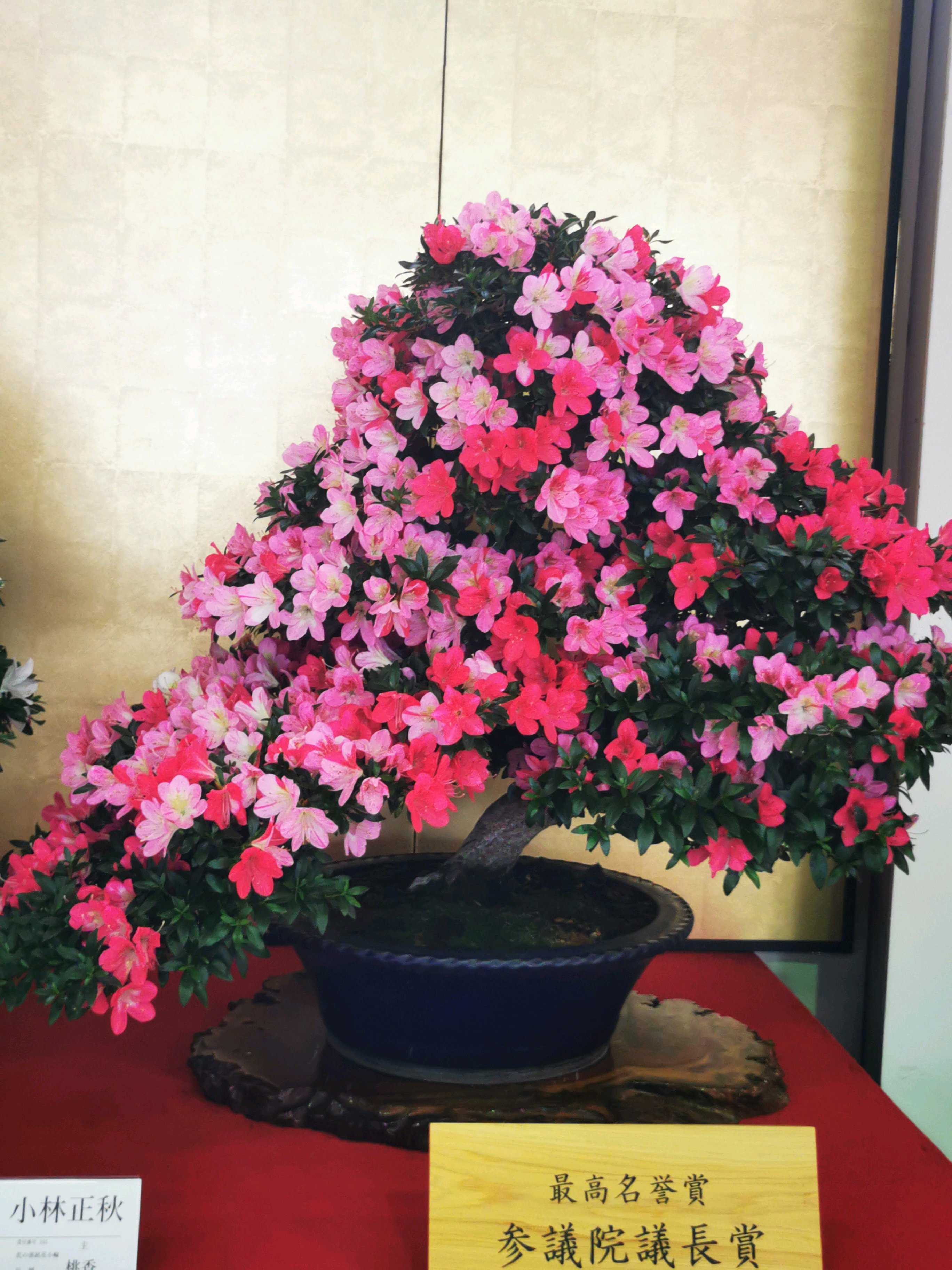 1748331575885_117819_p_2025052