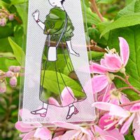 ウツギ,ウツギ,サクラウツギ,サクラウツギ,コゴメウツギの画像