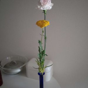 観葉植物,切り花,一輪挿し,花瓶,花束の画像