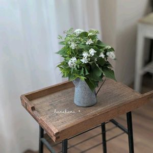 八重咲きドクダミ,シモツケ ,ブーケ,花束,グリーンのある暮らしの画像