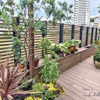 クレマチス,ナスタチウム,山紫陽花,テッセン,コルジリネ レッドスターの画像