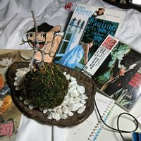 苔玉,映画の日,ｷｬｰ‼️選手,グワシの画像