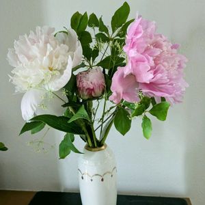 シャクヤク,芍薬,花束の画像