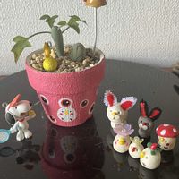 七宝樹,B型,KOHさんのリメ鉢,GSミニモニ。,バラと夢CLUBの画像