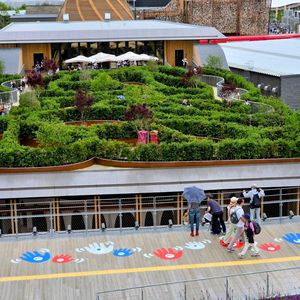 ジューンベリー,ウバメガシ,ウバメガシ,ノムラモミジ,かわいいな♡の画像