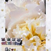 カリブラコア,キンシバイ,シャクヤク,エケベリア,ミリオンベルの画像