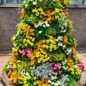 花壇,季節の花,花のある暮らし,緑のある暮らし,植栽の画像
