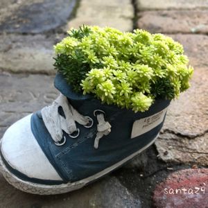 セダム属,アンティークレンガ,no green no life,可愛い鉢,テラスの画像