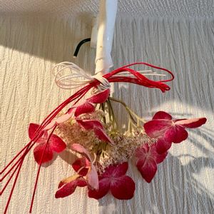 アジサイ,アジサイ,紫陽花,ヤマアジサイ 紅,紫陽花 アジサイ あじさいの画像