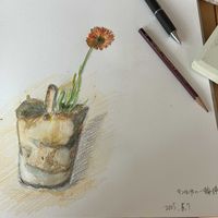 キンセンカ,玄関内側の画像
