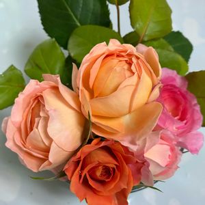 ミニブーケ,ばら バラ 薔薇の画像