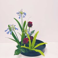 アガパンサス,バラ,タマシダ,薔薇,玉シダの画像