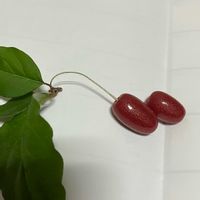 ダイオウグミ,ビックリグミ,ビックリグミ,ナンテン,ナンテンのお花の画像