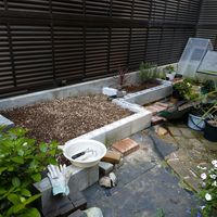 コルジリネ,ウエストリンギア（オーストラリアンローズマリー）,ガーデニング,花壇DIY,ブロック花壇の画像