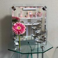 ガーベラ（大千本槍）,花言葉,秋の七草,誕生花,GS映えの画像
